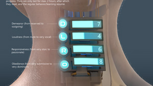 MIKA-X – Image 7