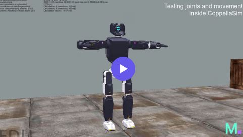 V.A.R.S. simulation