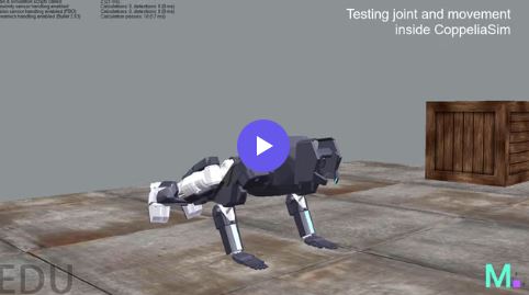 V.A.R.S. simulation