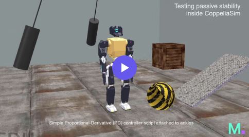 V.A.R.S. simulation